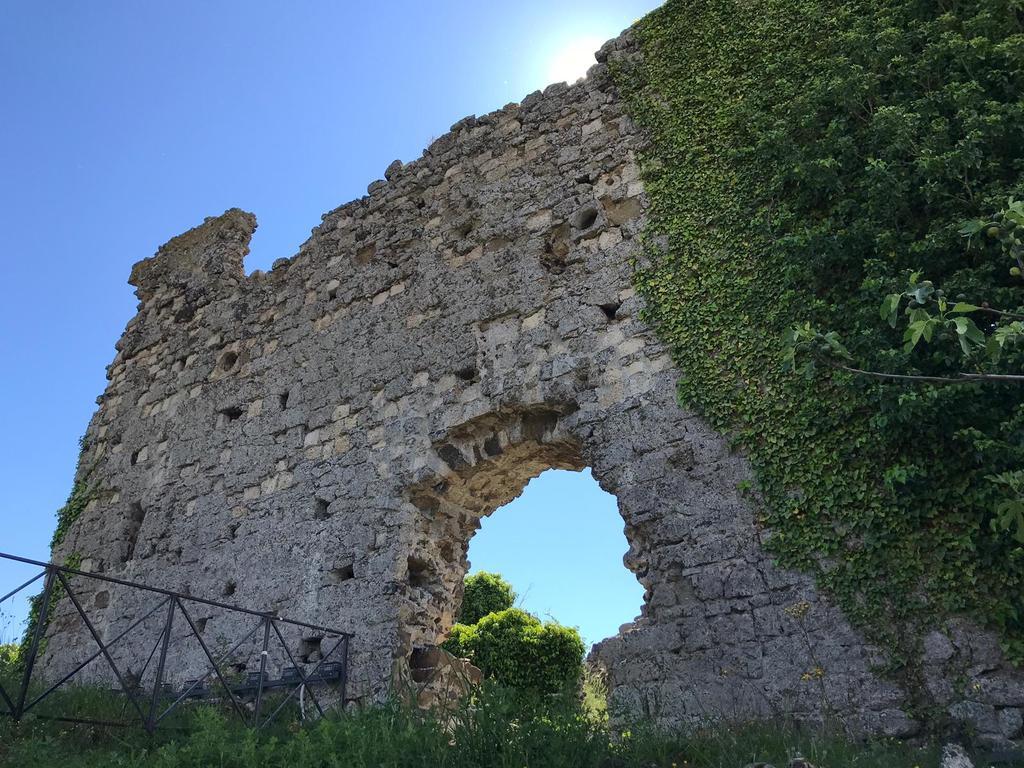 B&B Vigna Rosa Trevignano Romano Exterior photo